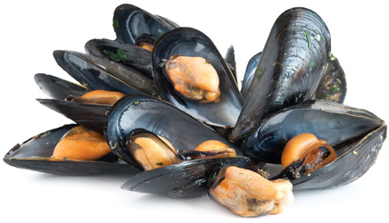 Мидии живые черноморские в ракушке